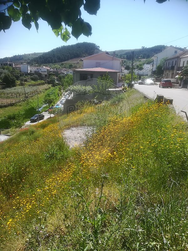 Terreno  para venda