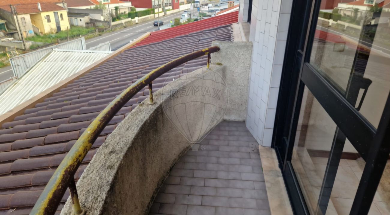 124231398-5