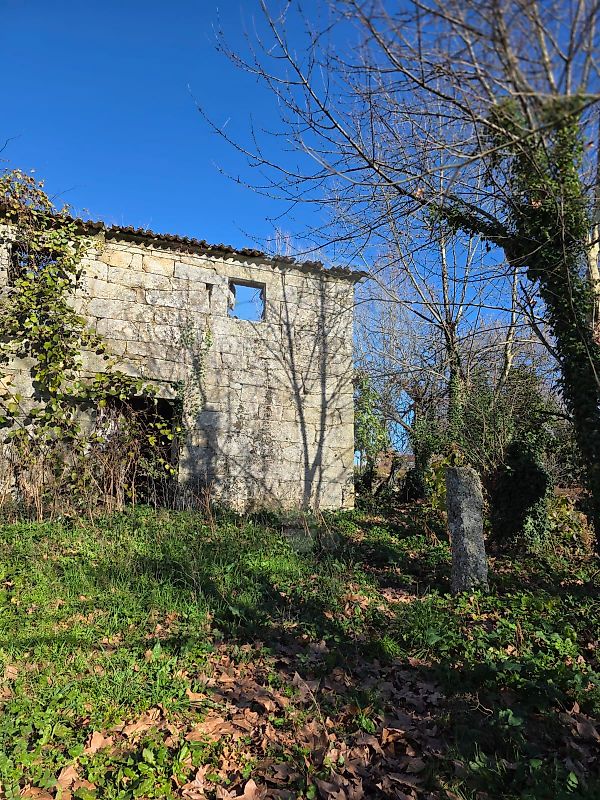 Quinta - Britelo, Gémeos e Ourilhe, Celorico de Basto, Braga