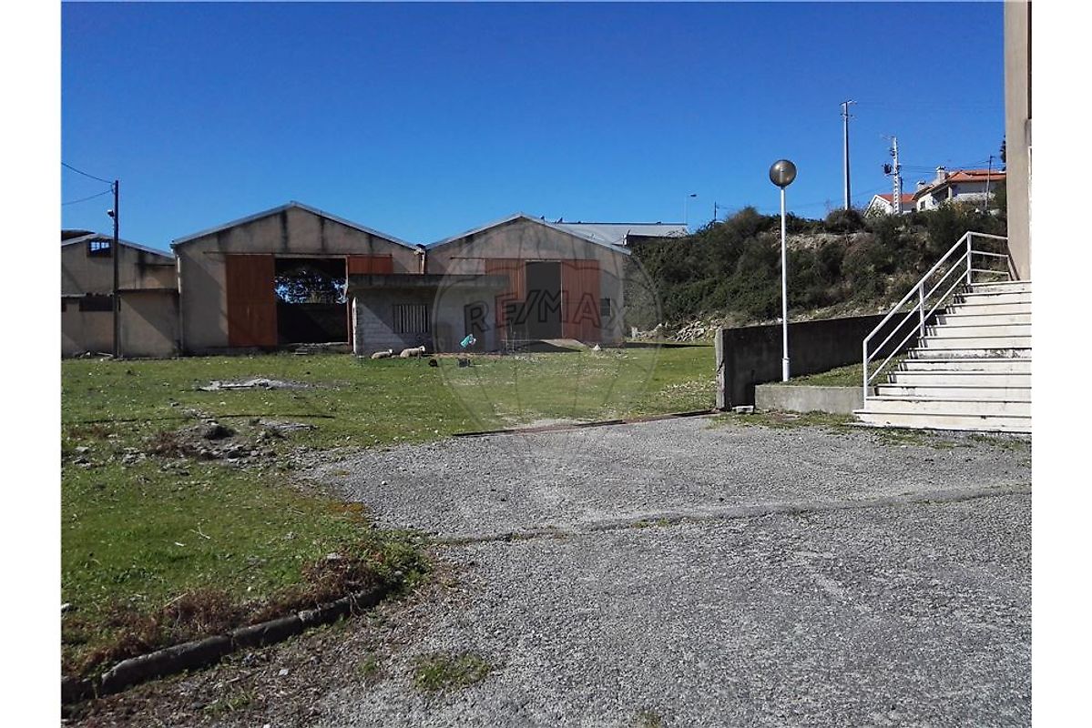 listing 124241022-18 picture-0