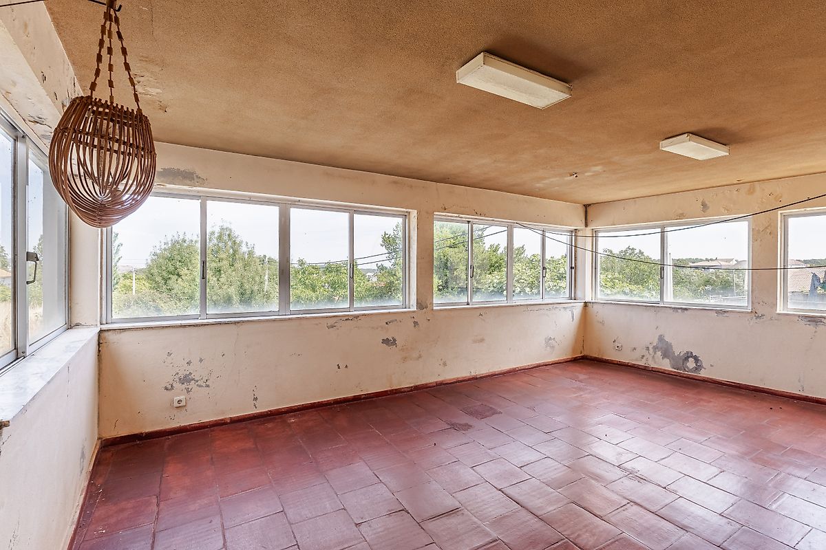 listing 124241009-379 picture-0