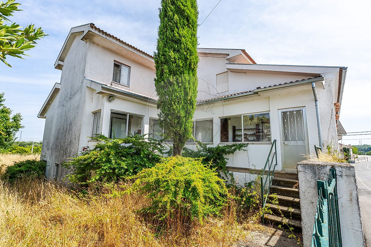 listing 124241009-379 picture-0