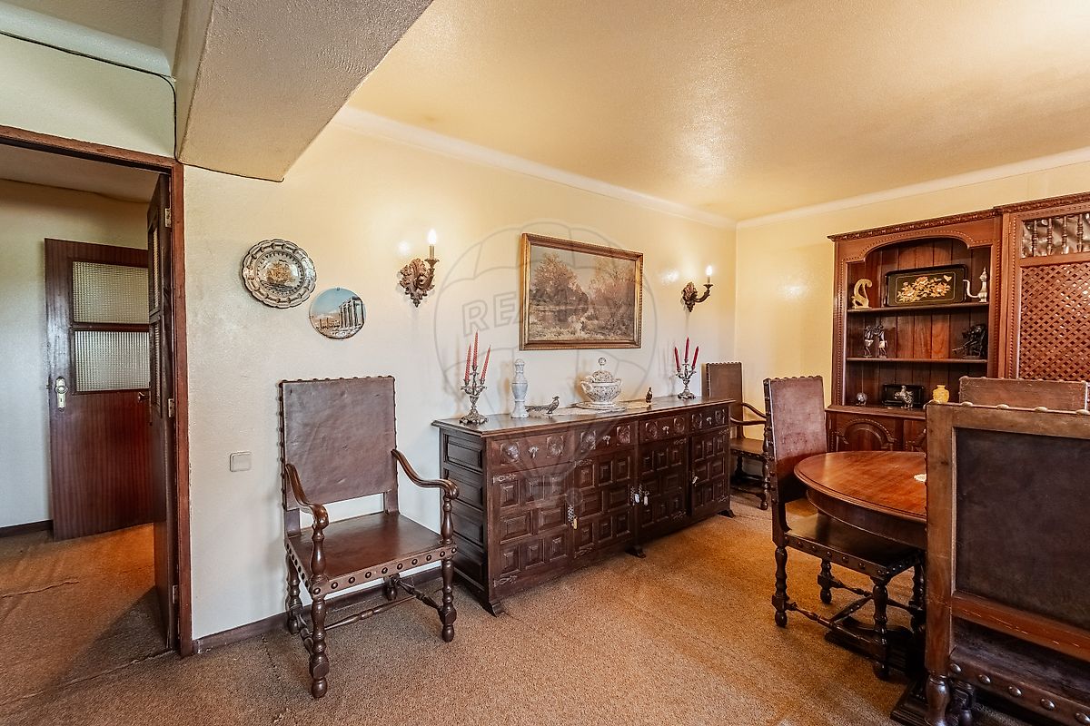 listing 124241009-379 picture-0