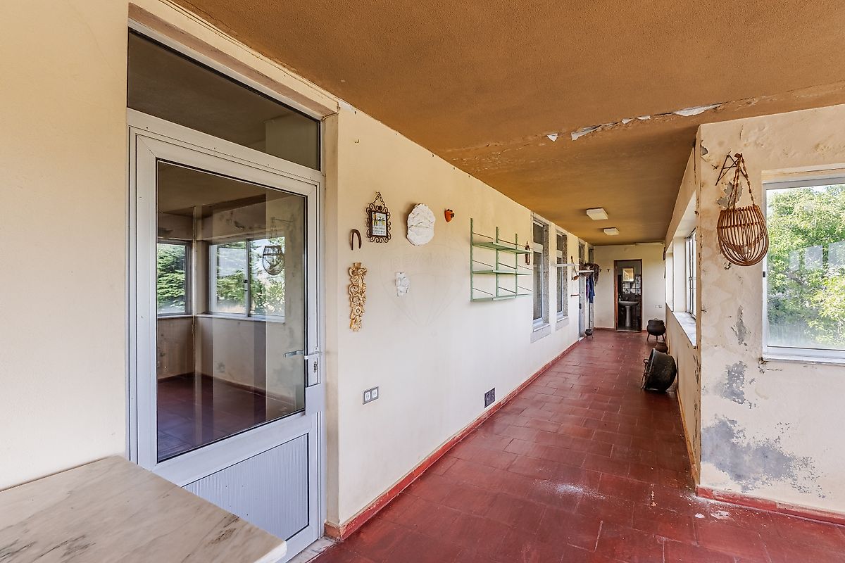 listing 124241009-379 picture-0