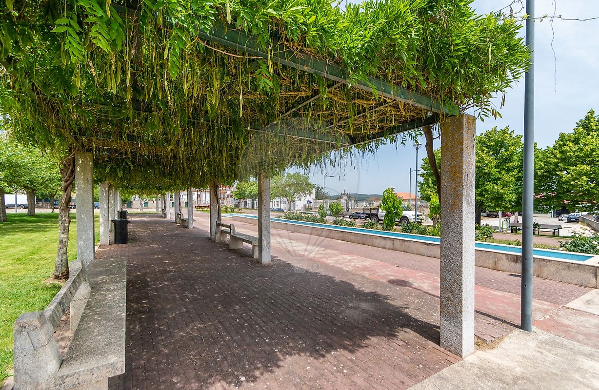 listing 124241009-606 picture-0