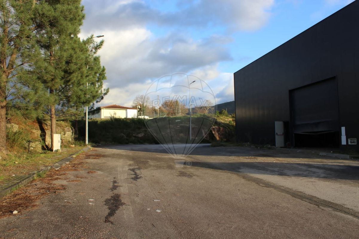 listing 124241266-2 picture-0