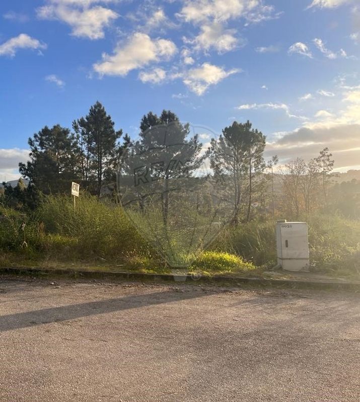 listing 124241266-2 picture-0