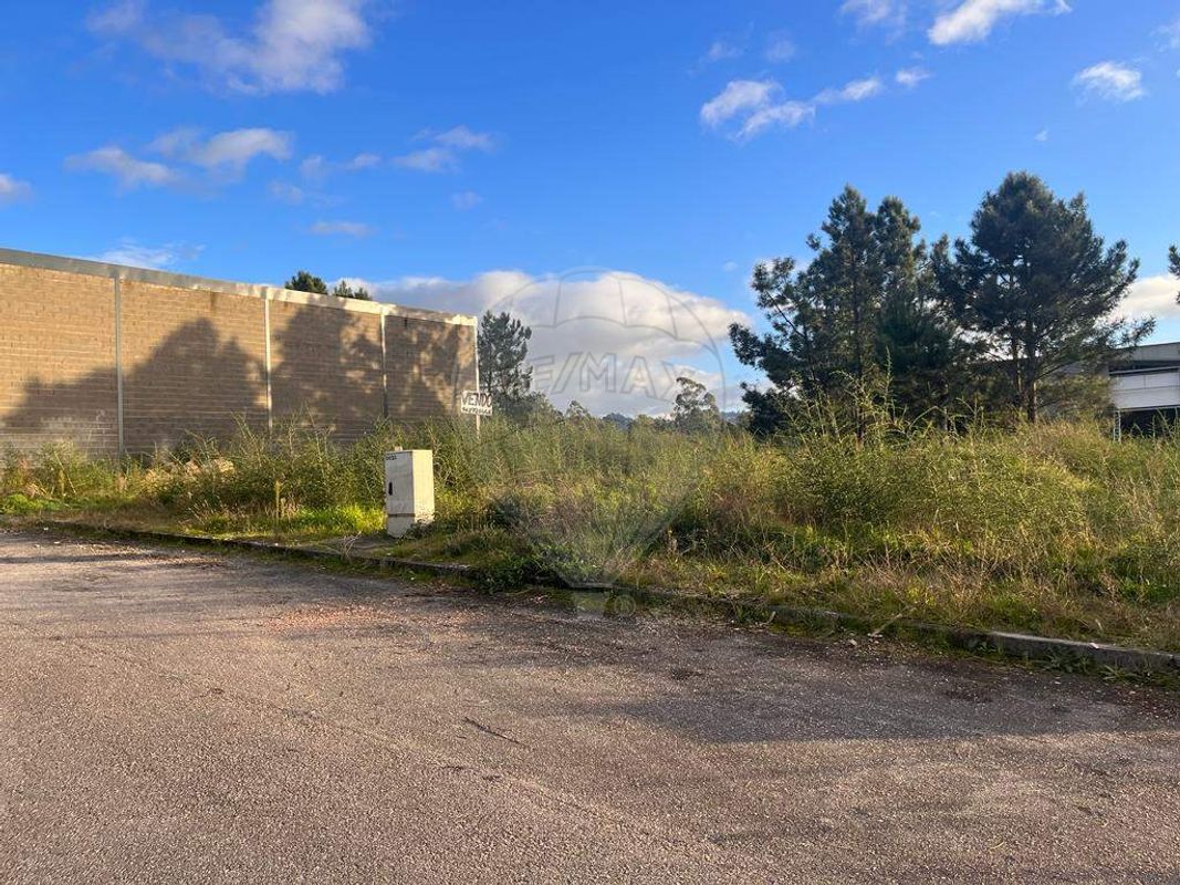 listing 124241266-3 picture-0