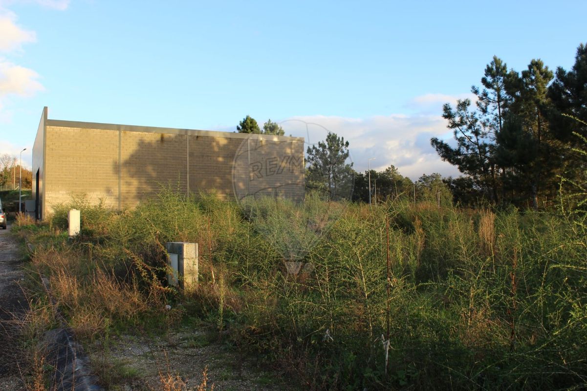 listing 124241266-3 picture-0