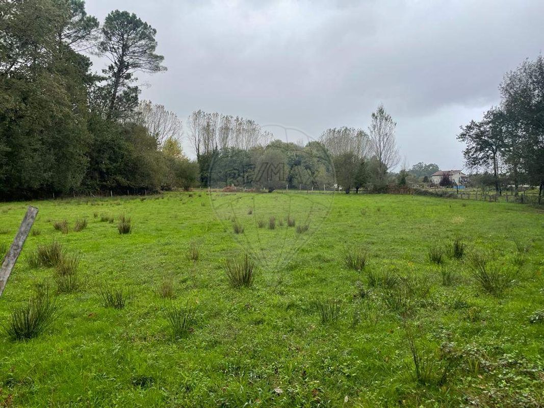 Terreno para venda