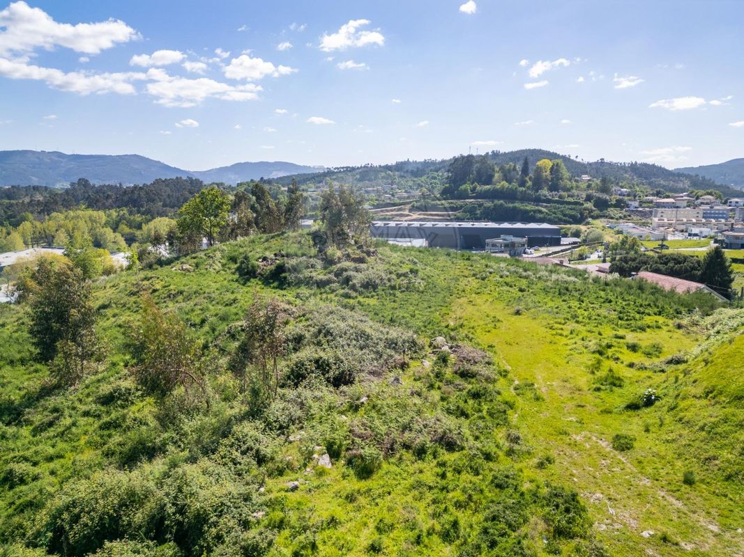 listing 124241111-162 picture-0