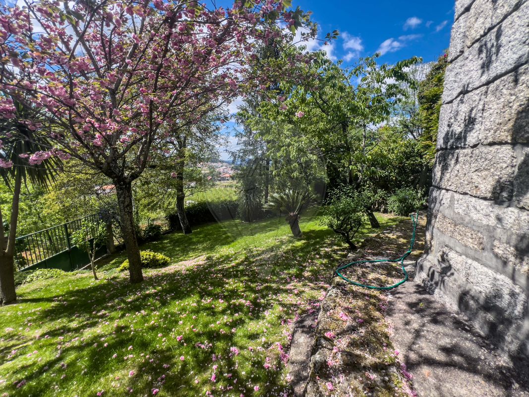listing 124241323-1 picture-0