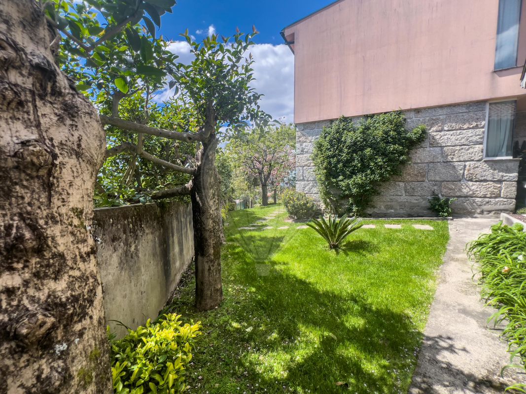 listing 124241323-1 picture-0
