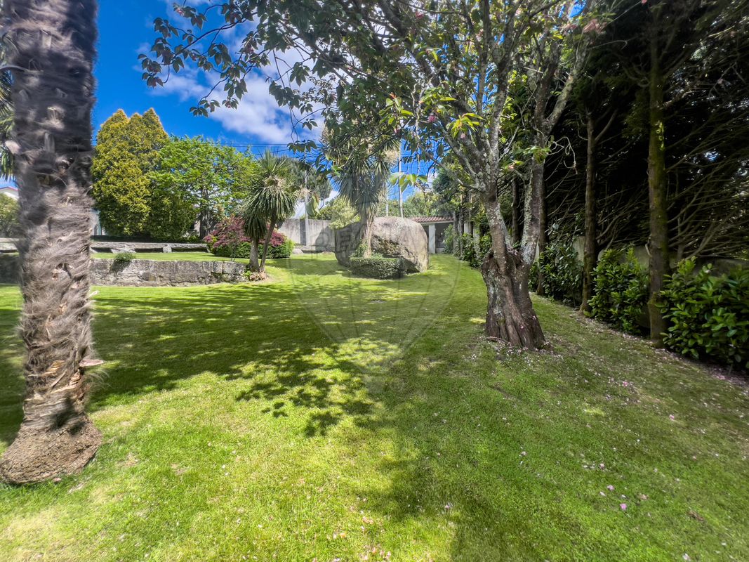 listing 124241323-1 picture-0