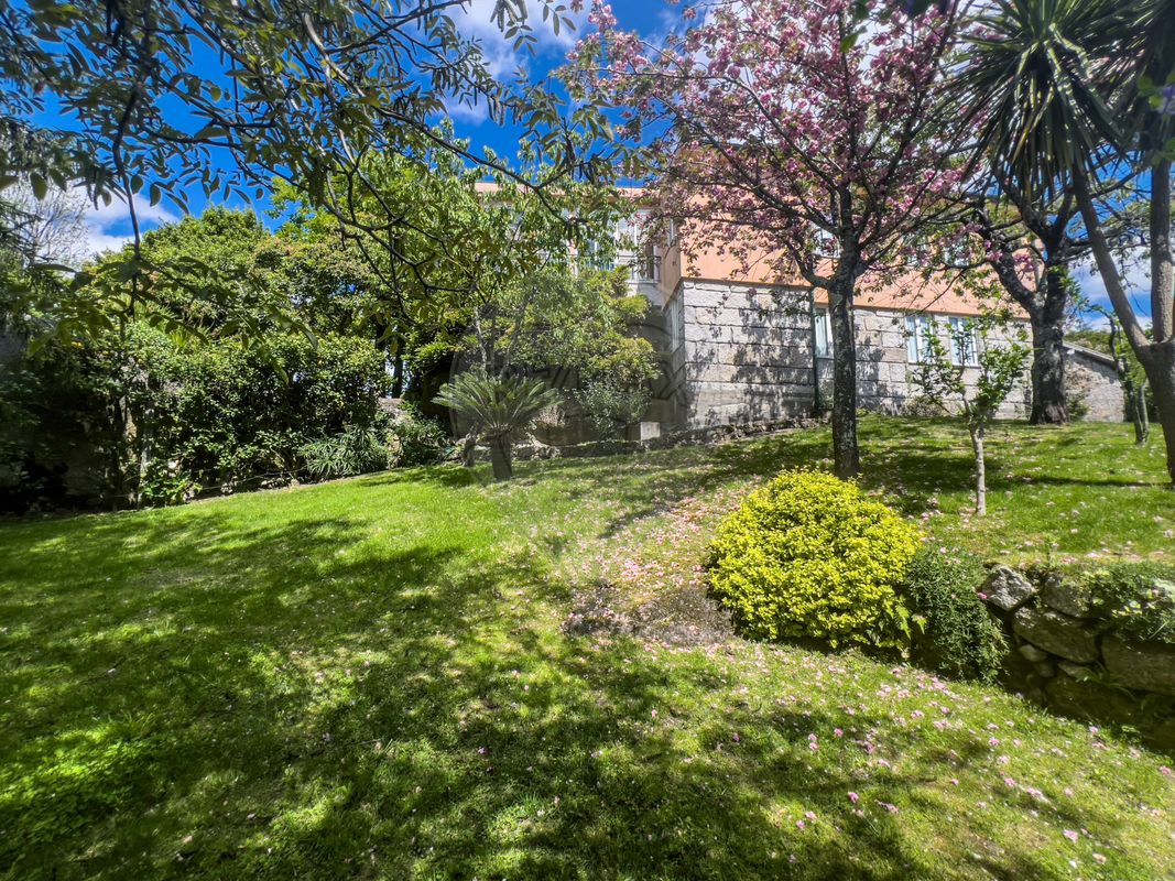 listing 124241323-1 picture-0