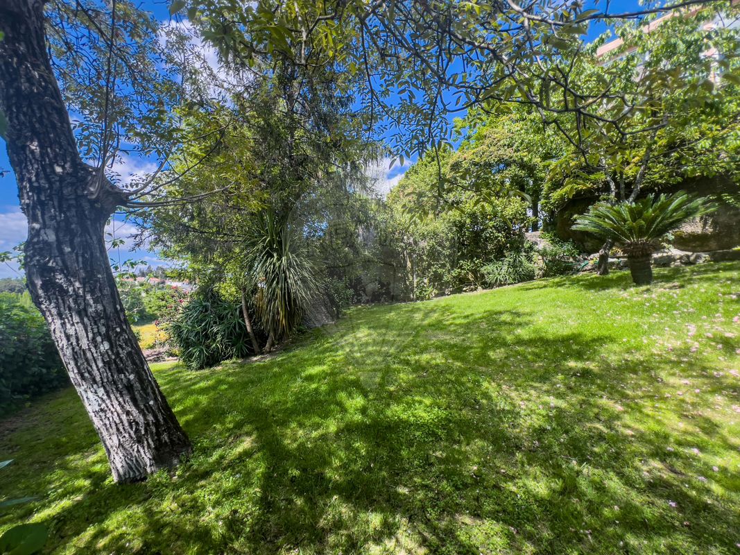 listing 124241323-1 picture-0