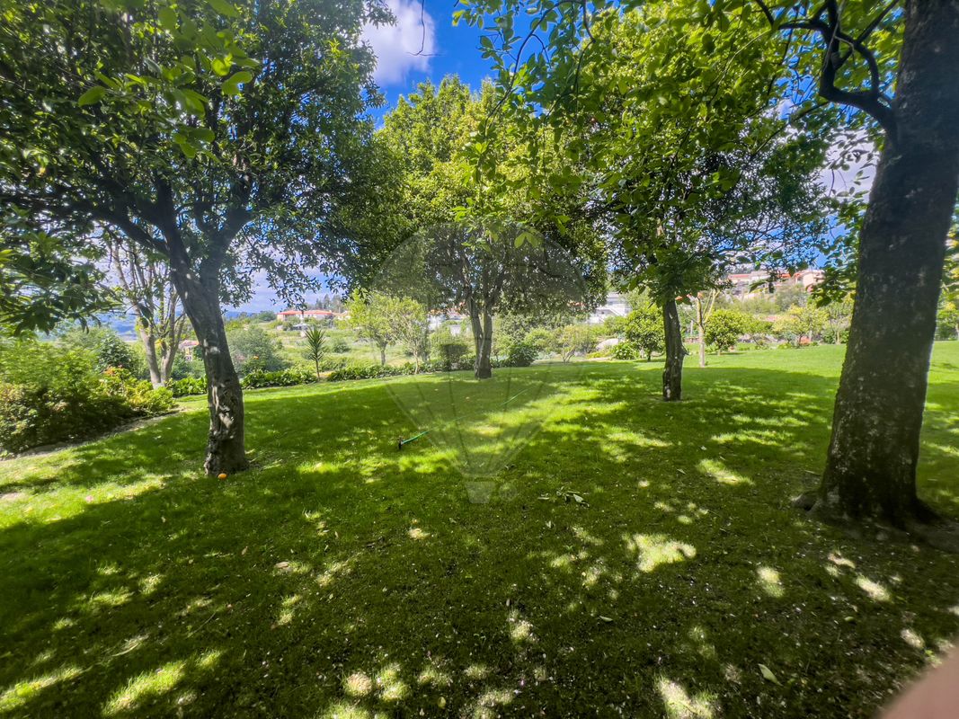 listing 124241323-1 picture-0