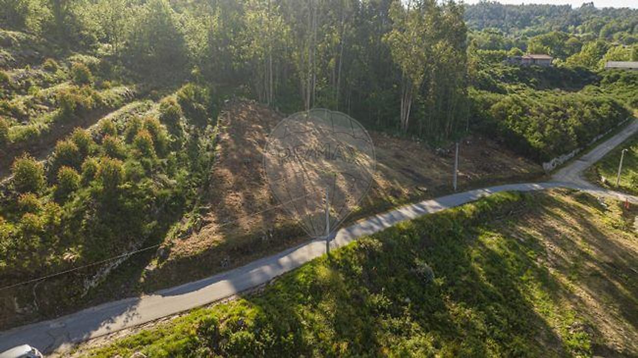 Terreno - Borba de Montanha, Celorico de Basto, Braga