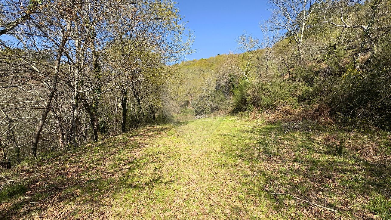 Moradia T4 à venda em Gondoriz, Terras de Bouro — foto 38