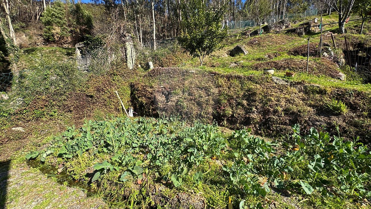 Moradia T4 à venda em Gondoriz, Terras de Bouro — foto 24