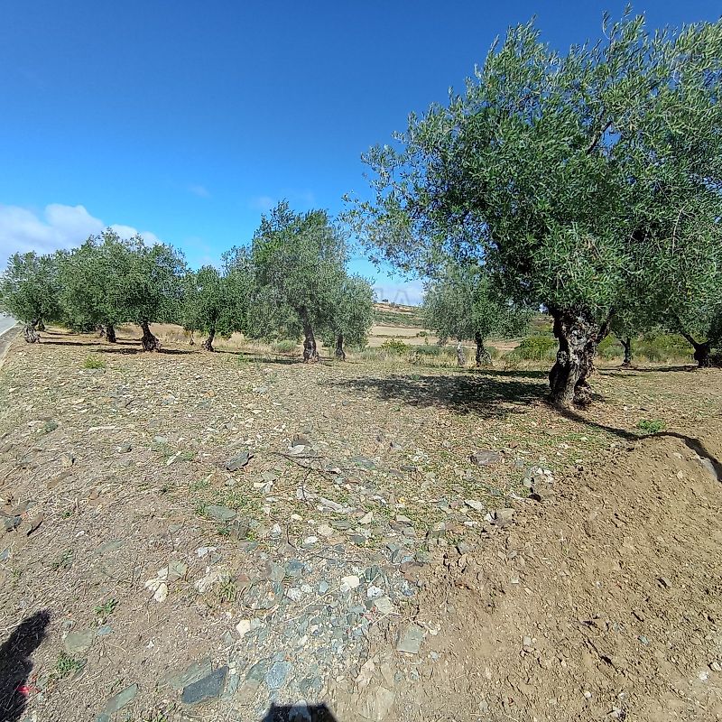 Moradia T4 à venda em Izeda, Calvelhe e Paradinha Nova, Bragança — foto 21