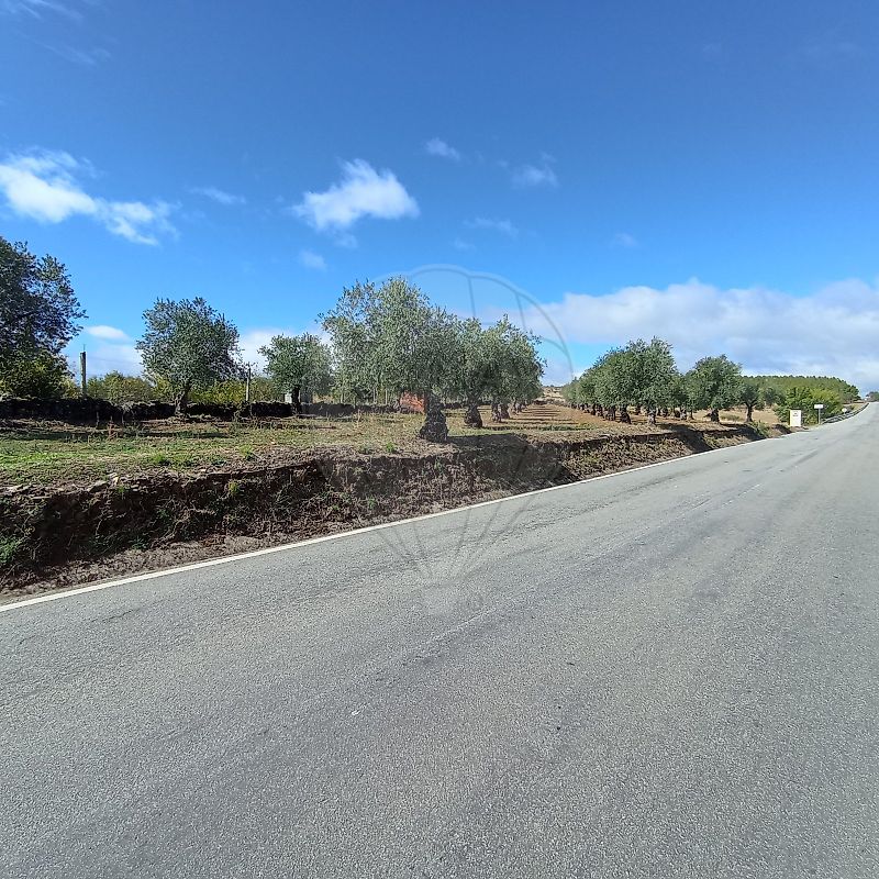 Moradia T4 à venda em Izeda, Calvelhe e Paradinha Nova, Bragança — foto 25