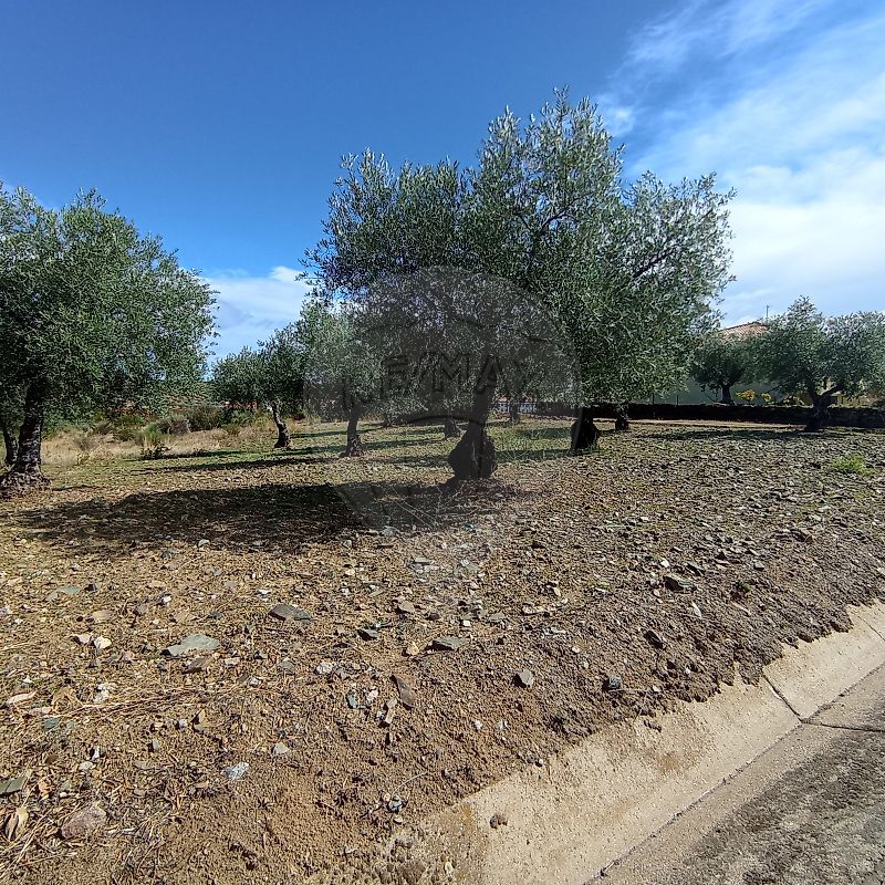 Moradia T4 à venda em Izeda, Calvelhe e Paradinha Nova, Bragança — foto 26