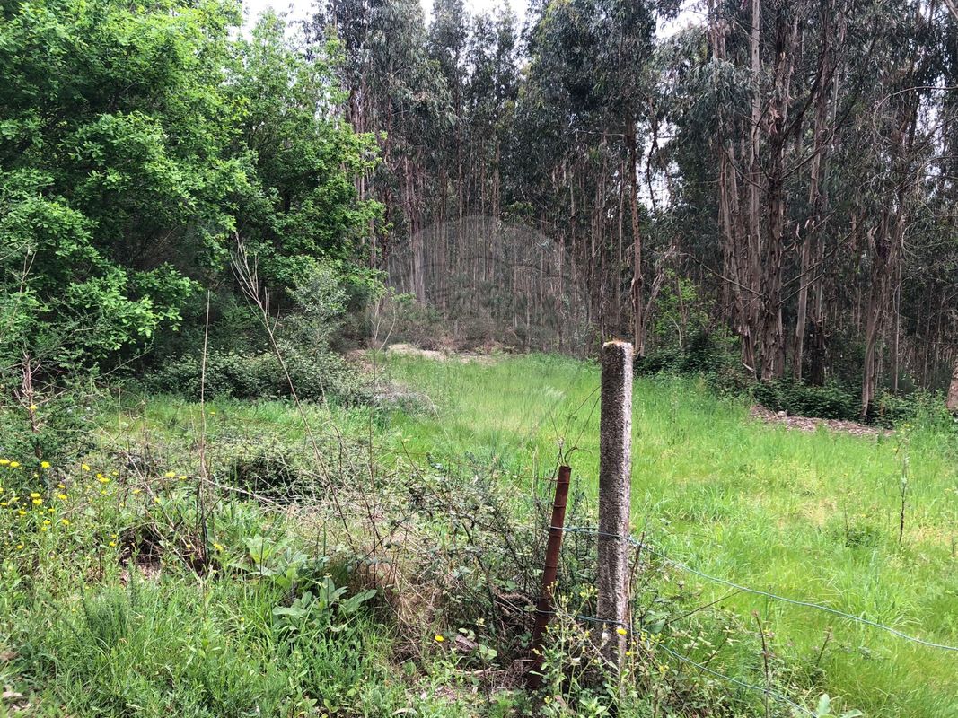 Terreno para venda