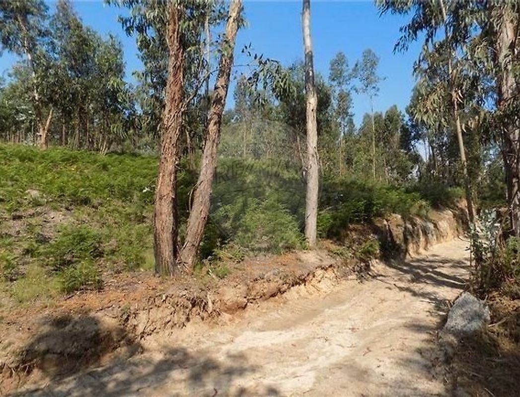 Terreno  à venda em Amarante