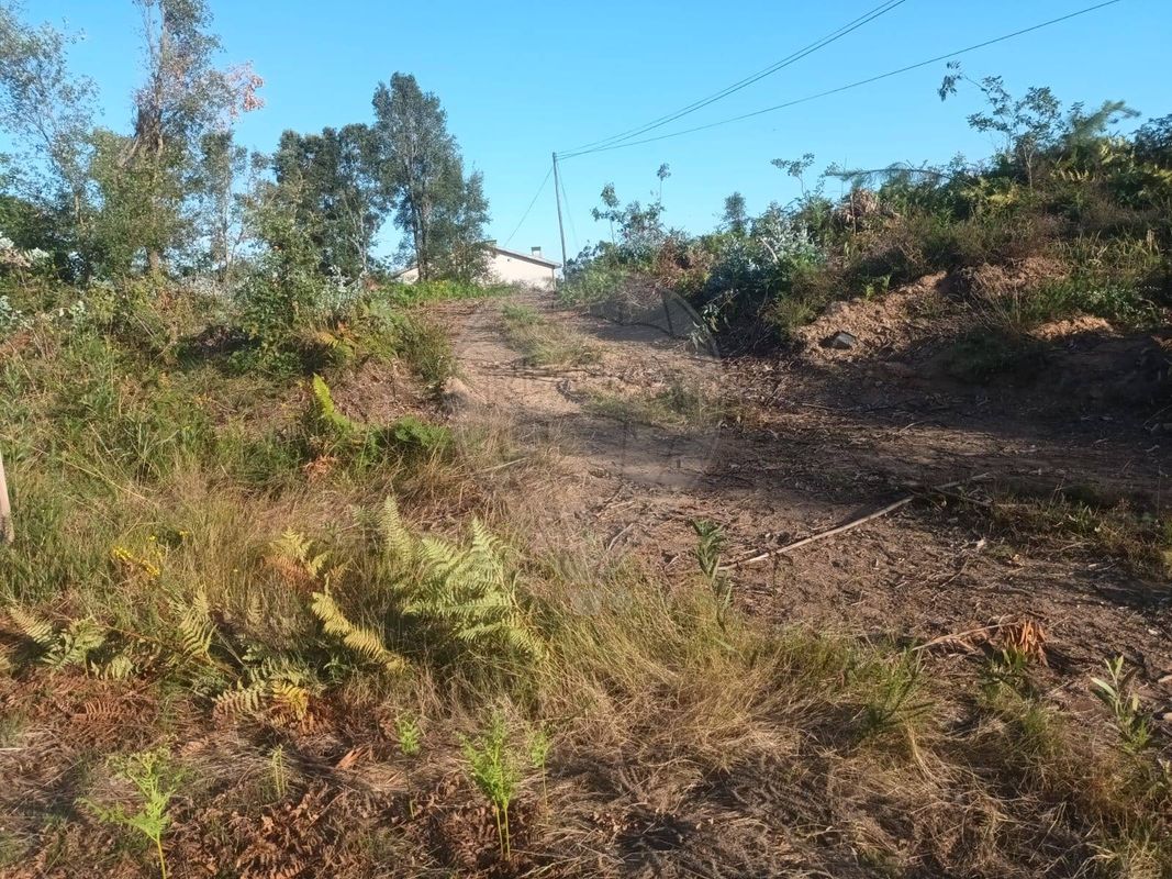 Terreno  para venda