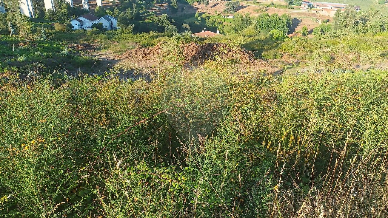 Terreno para venda