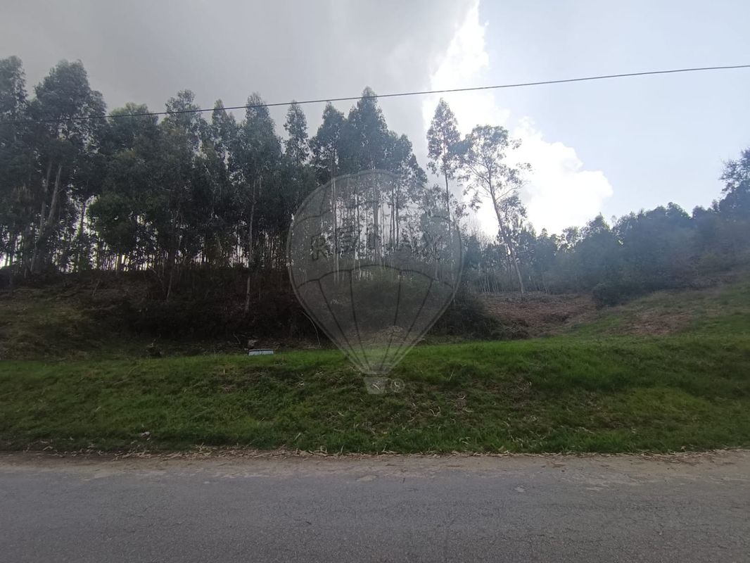 TODO