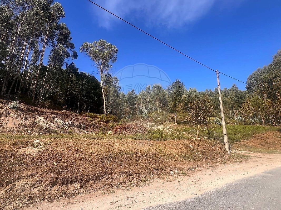 Terreno  para venda