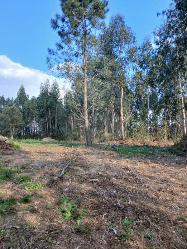 Terreno para venda