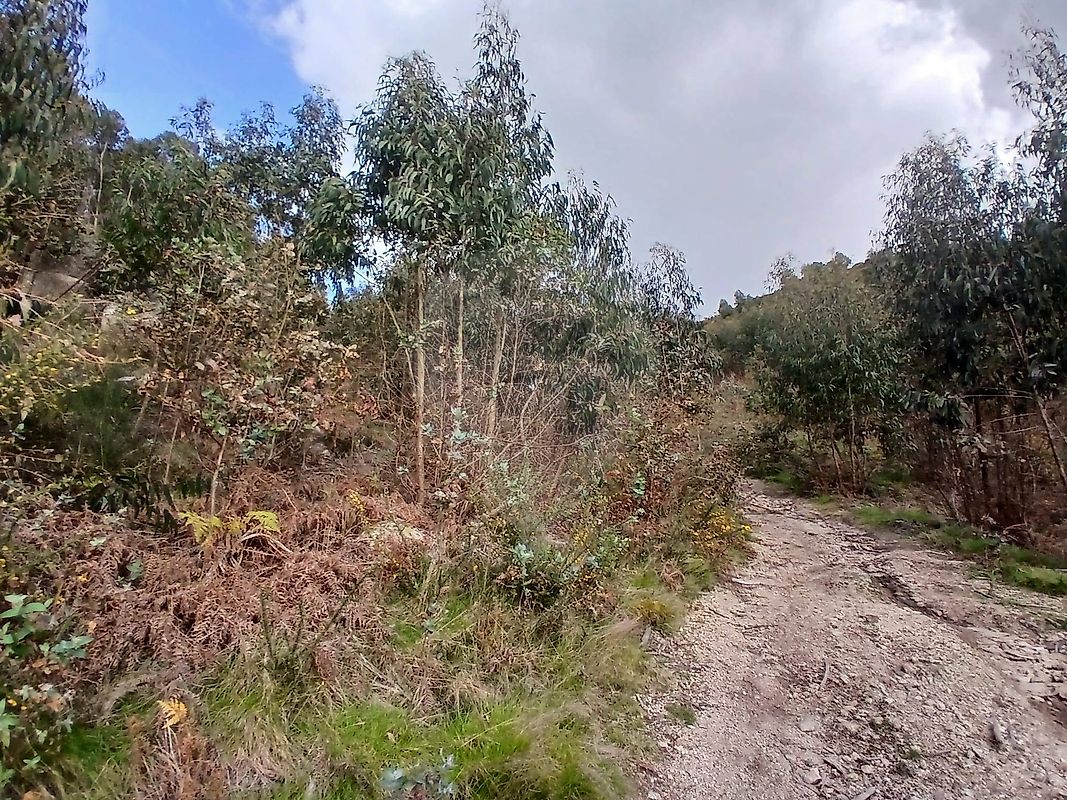 Terreno para venda