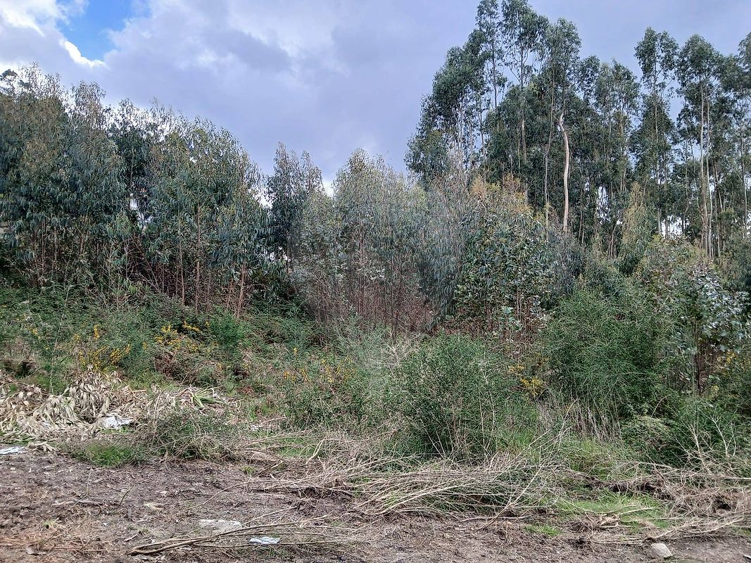 Terreno para venda