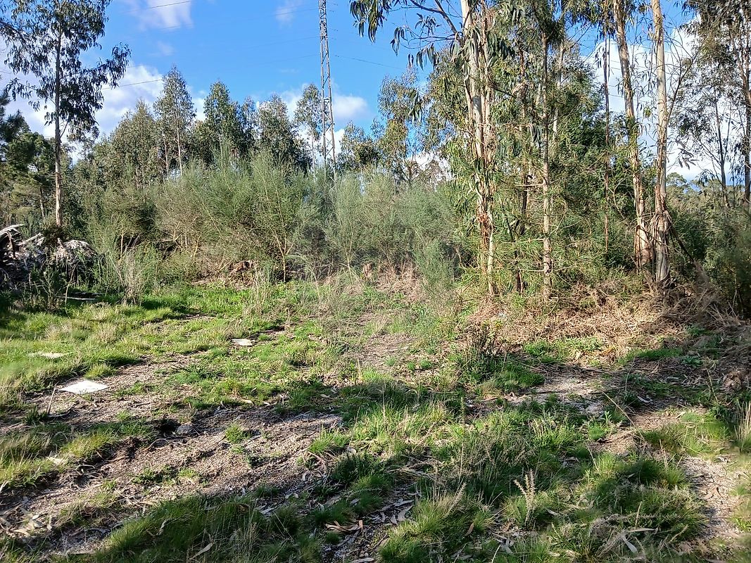 Terreno para venda