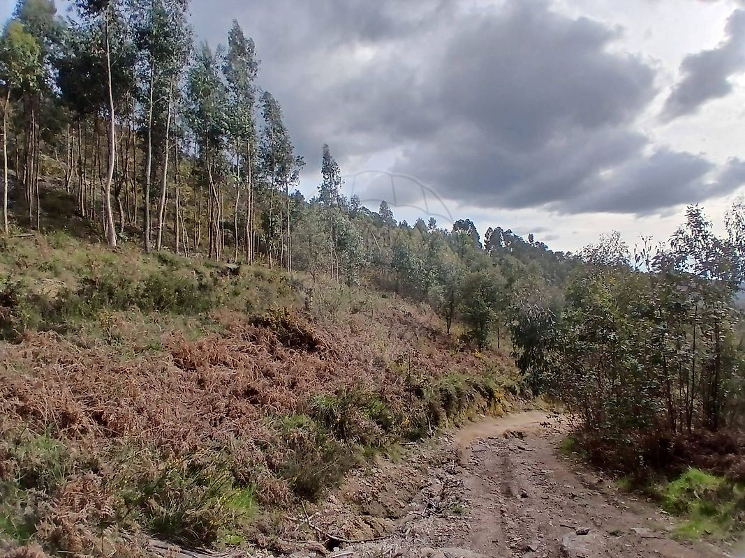 Terreno para venda