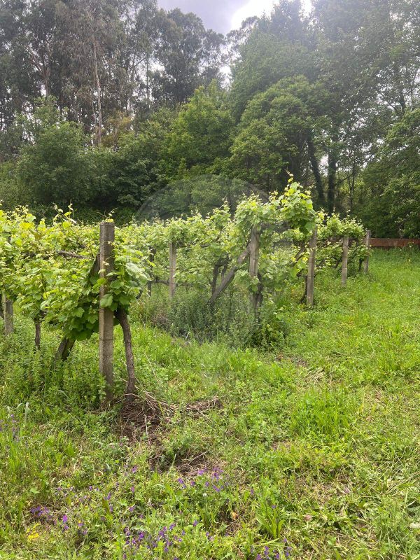 Terreno para venda