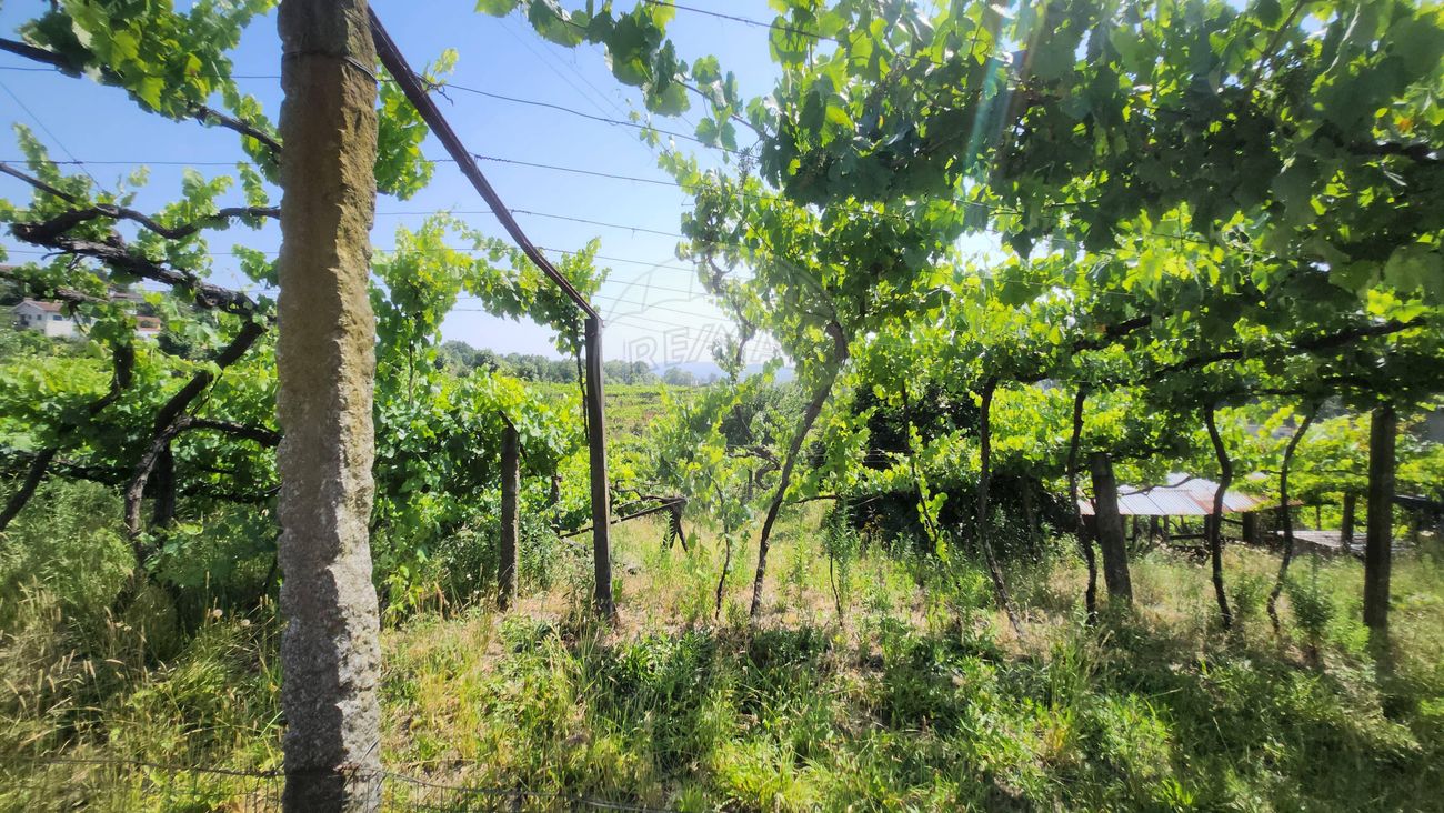 Terreno para venda