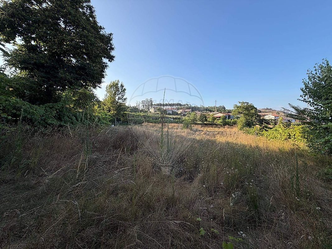 Terreno - Mancelos, Amarante, Porto