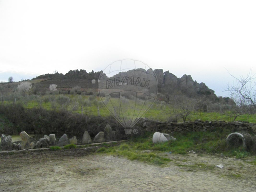 TODO
