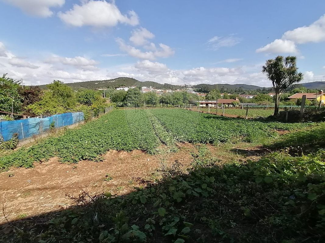 Land for sale in Valongo, Portugal — €257,500