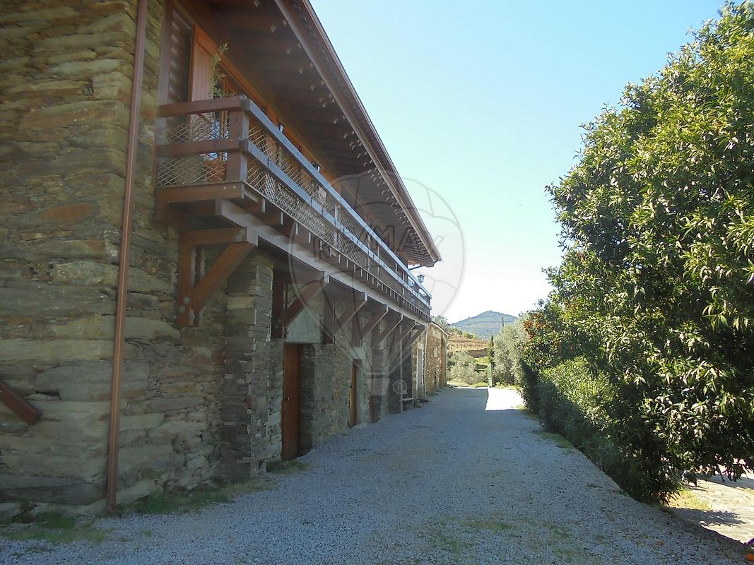 listing 124261169-19 picture-0