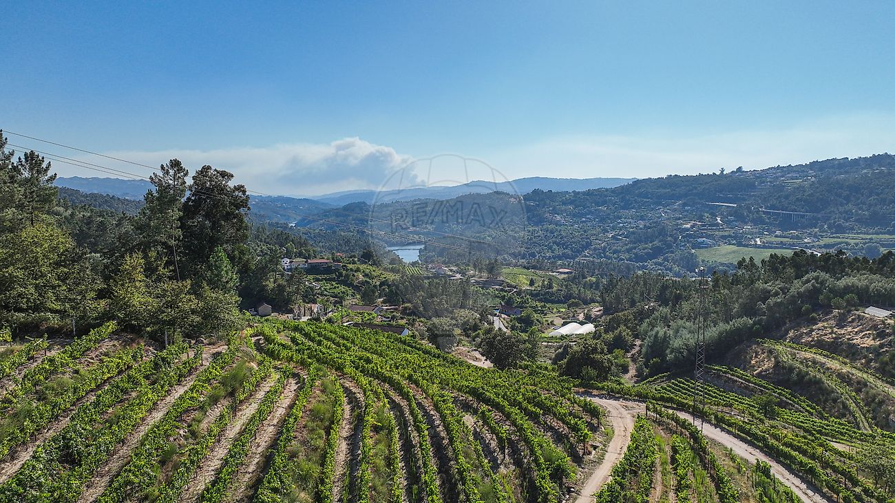 Quinta à venda em Amarante