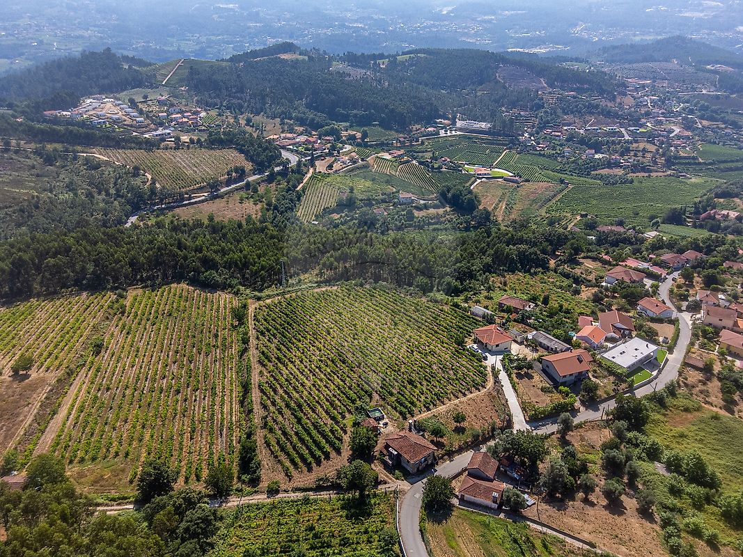 Moradia T2 à venda em Canedo de Basto e Corgo, Celorico de Basto — foto 21
