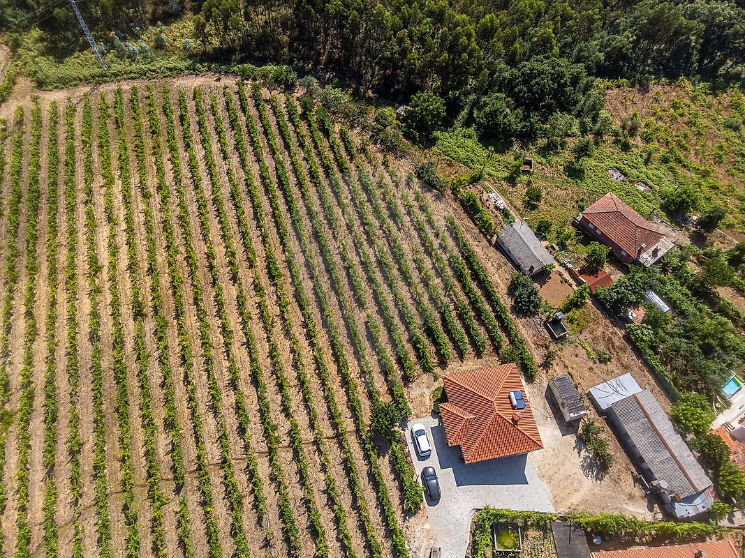 Moradia T2 à venda em Canedo de Basto e Corgo, Celorico de Basto — foto 22