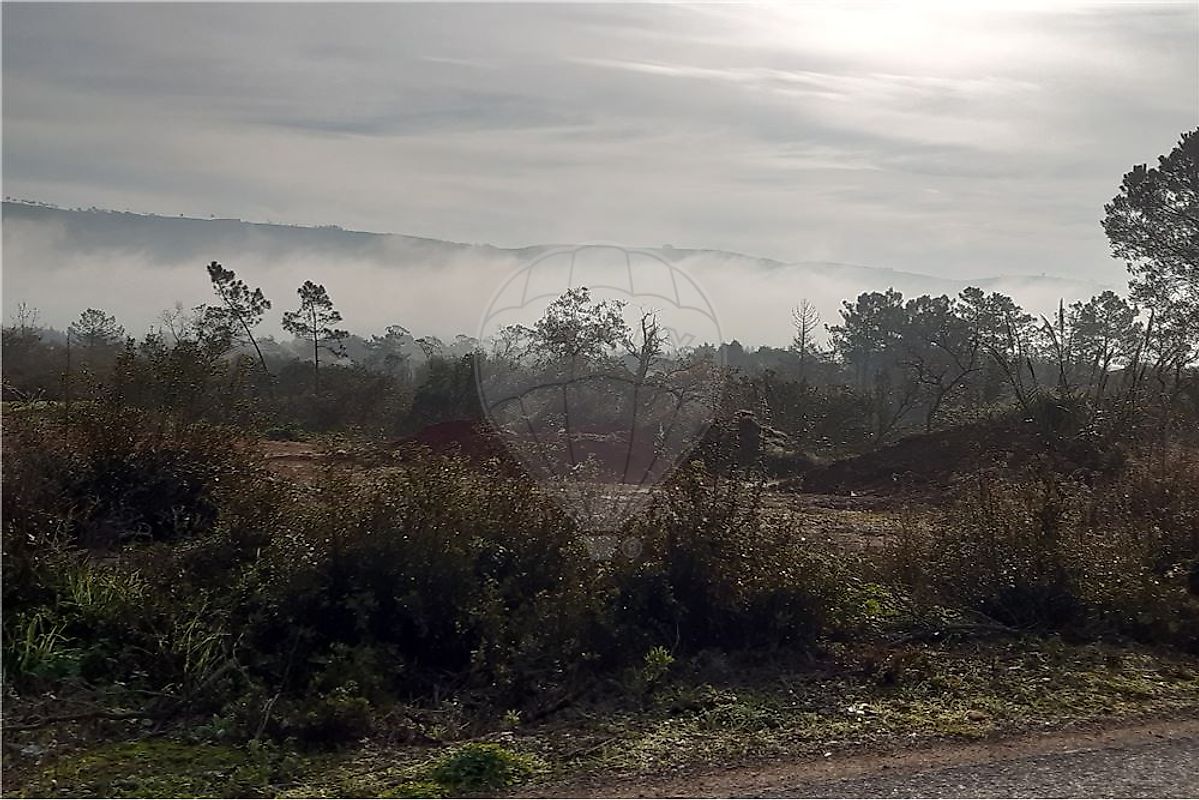 Terreno à venda em Alcobaça