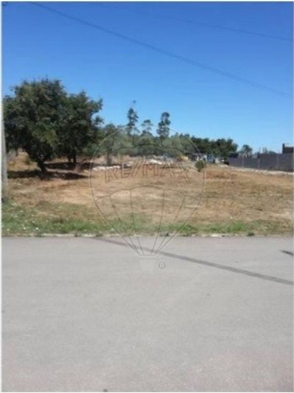 Terreno à venda em Alcobaça