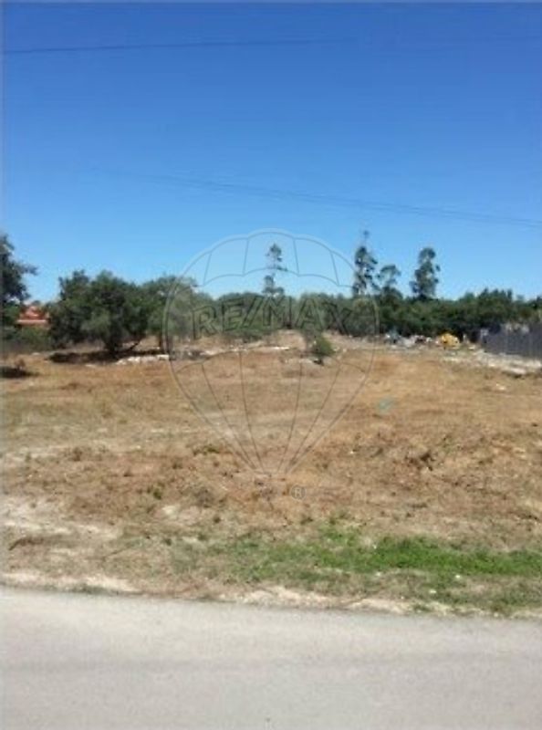 Terreno à venda em Alcobaça